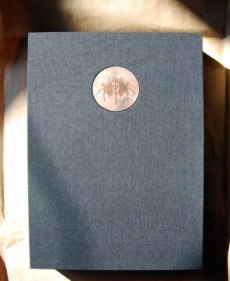 Anansi Boys cover