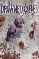 The Drowned Cities cover