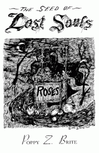 The Seed of Lost Souls cover