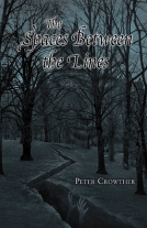 The Spaces between the Lines cover