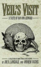 Veil’s Visit cover